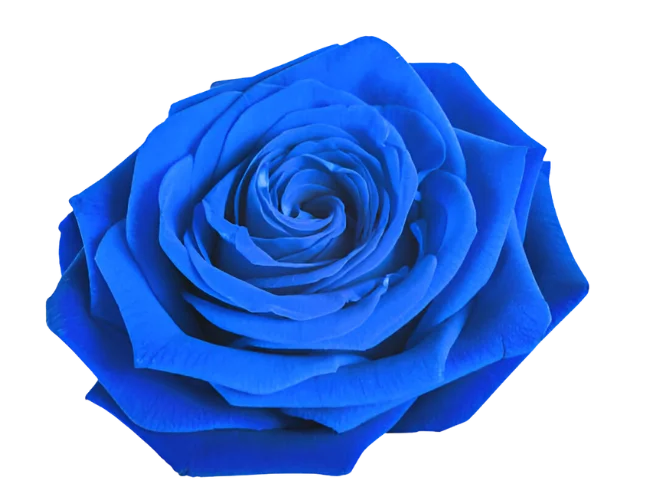 sbsgroupindia.com